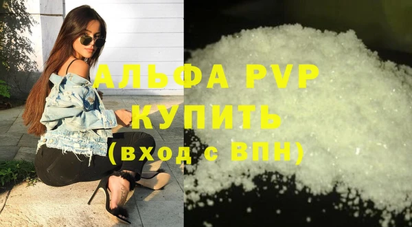 spice Богородицк