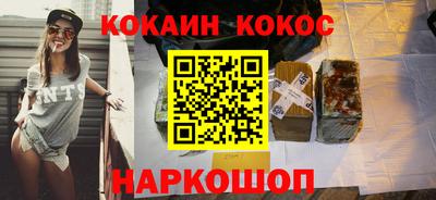 крисы Кингисепп