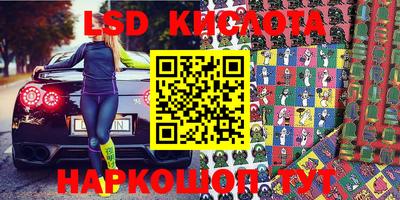 крисы Кингисепп