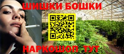 крисы Кингисепп