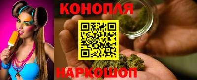 крисы Кингисепп