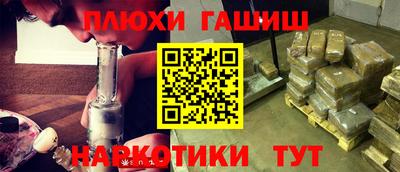 крисы Кингисепп