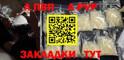 крисы Кингисепп