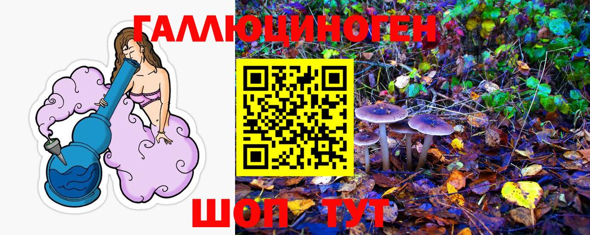 Луховицы  Псилоцибиновые грибы MAGIC MUSHROOMS  Вход с VPN  Галлюциногенные грибы ЛСД 