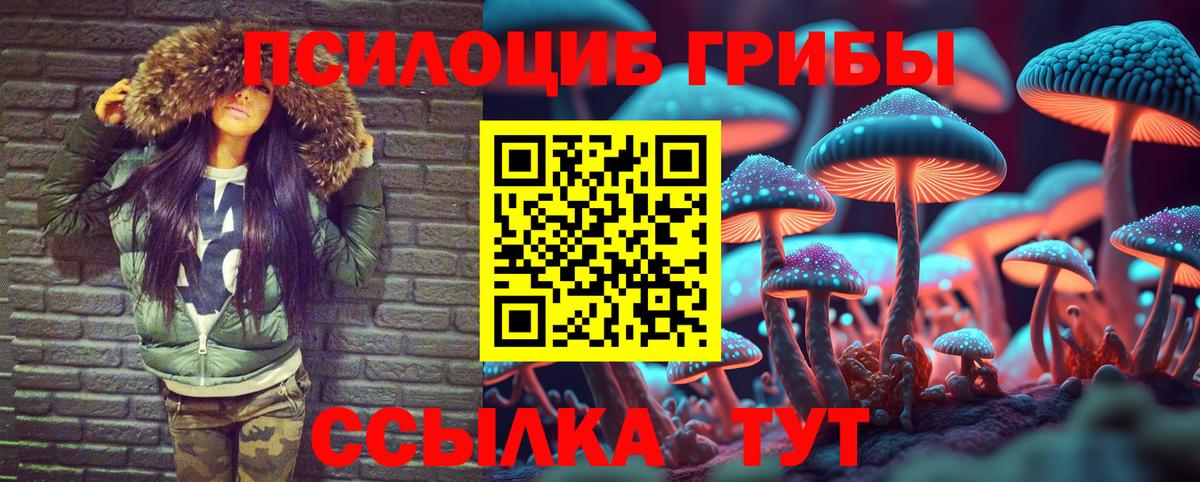Псилоцибиновые грибы мицелий Луховицы